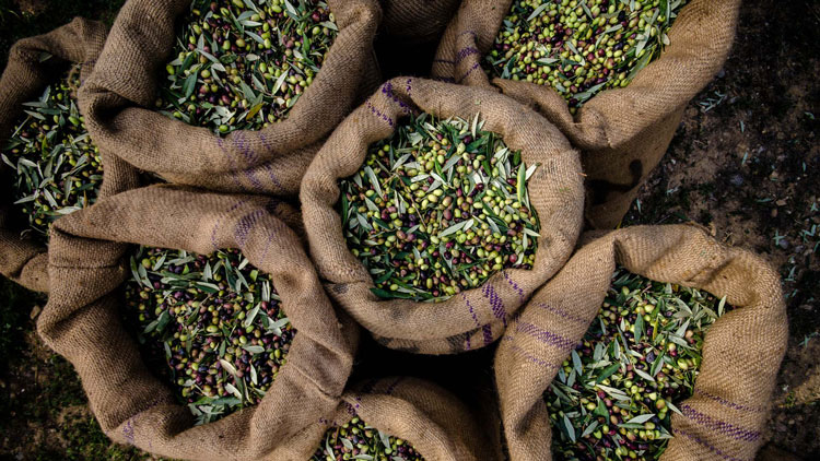 Η ελληνική διατροφή από την προϊστορία μέχρι σήμερα